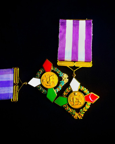 مدال خدمت ورزش