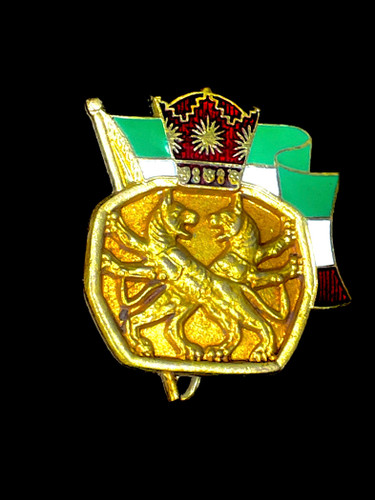 بج سینه بانک توسعه صنعتی و معدنی ایران