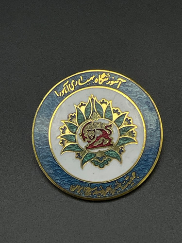 نشان سینه اموزشگاه بهیاری