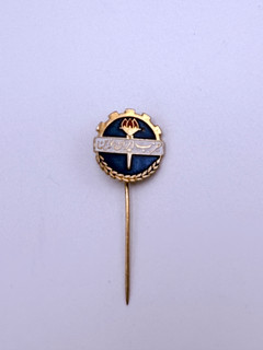 حزب ایران نوین